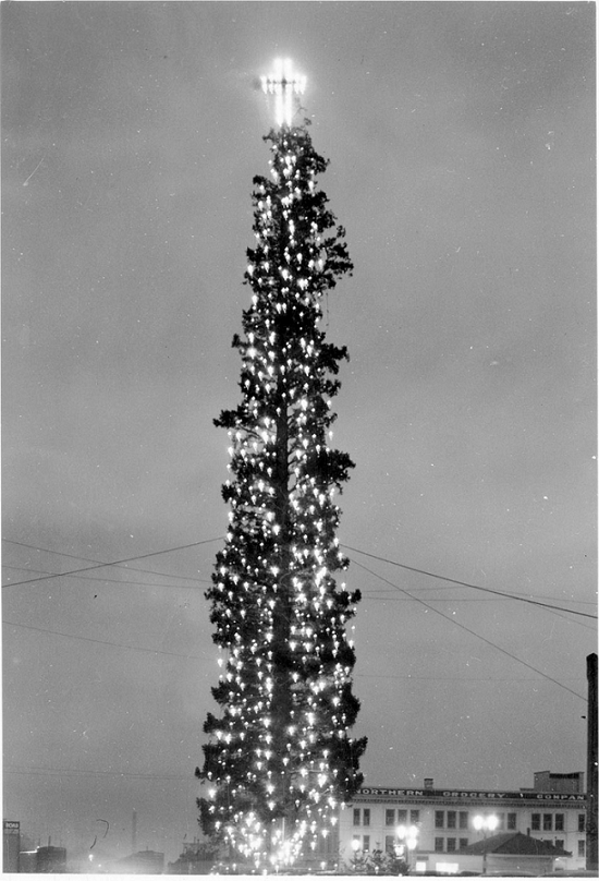 Bellingham lights the world's tallest Christmas tree on December 13, 1949